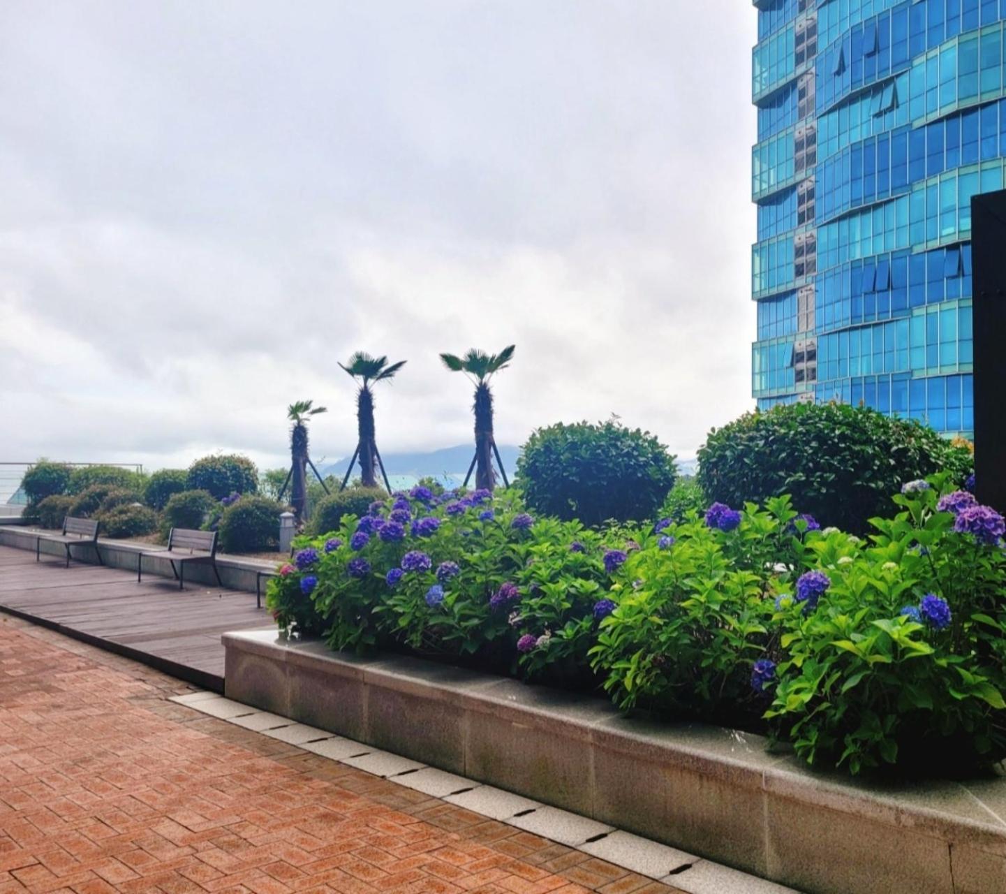 Pale De Cz Condo Пусан Екстер'єр фото